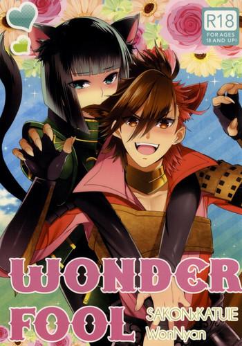 wonderfool cover