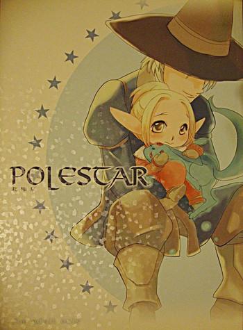 polestar cover