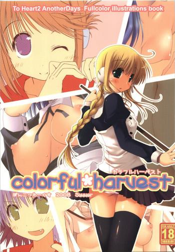 colorful harvest cover