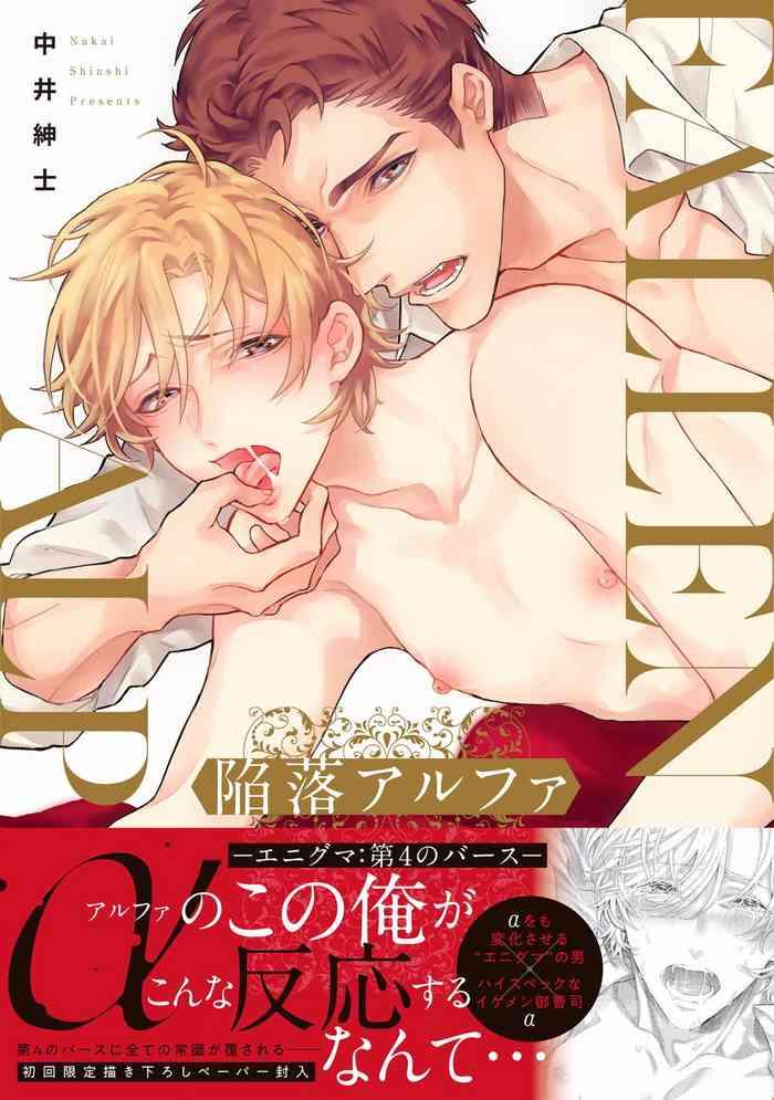 nakai shinshi kanraku alpha enigma dai 4 no verse enigma 4 1 4 chinese digital cover