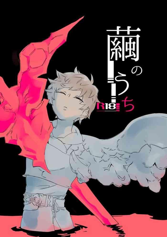 cover 13