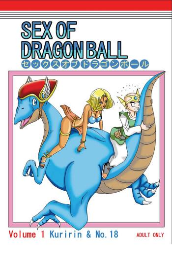 sex of dragonball cover