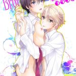 brother complex cover