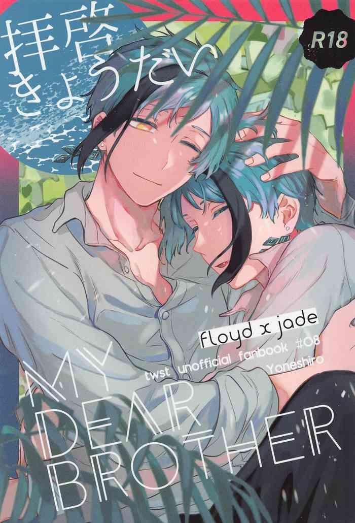 haikei kyodai cover