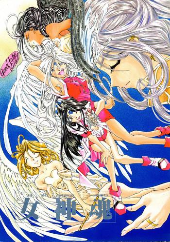 megami tamashii ah my goddess spirits cover