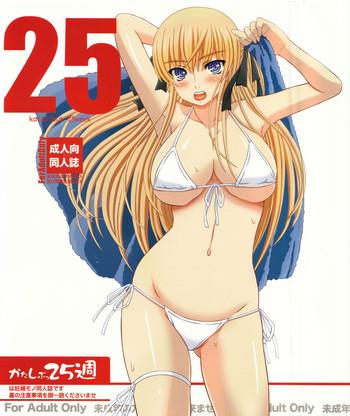 katashibu 25 shuu cover