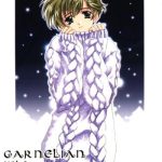 carnelian vol 2 re leaf settei shiryou tsudo cover