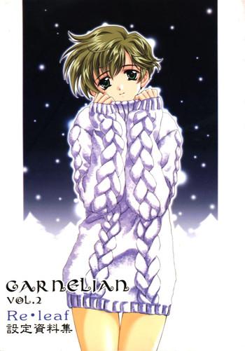 carnelian vol 2 re leaf settei shiryou tsudo cover