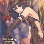 homu raiding cover