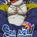 splash cover